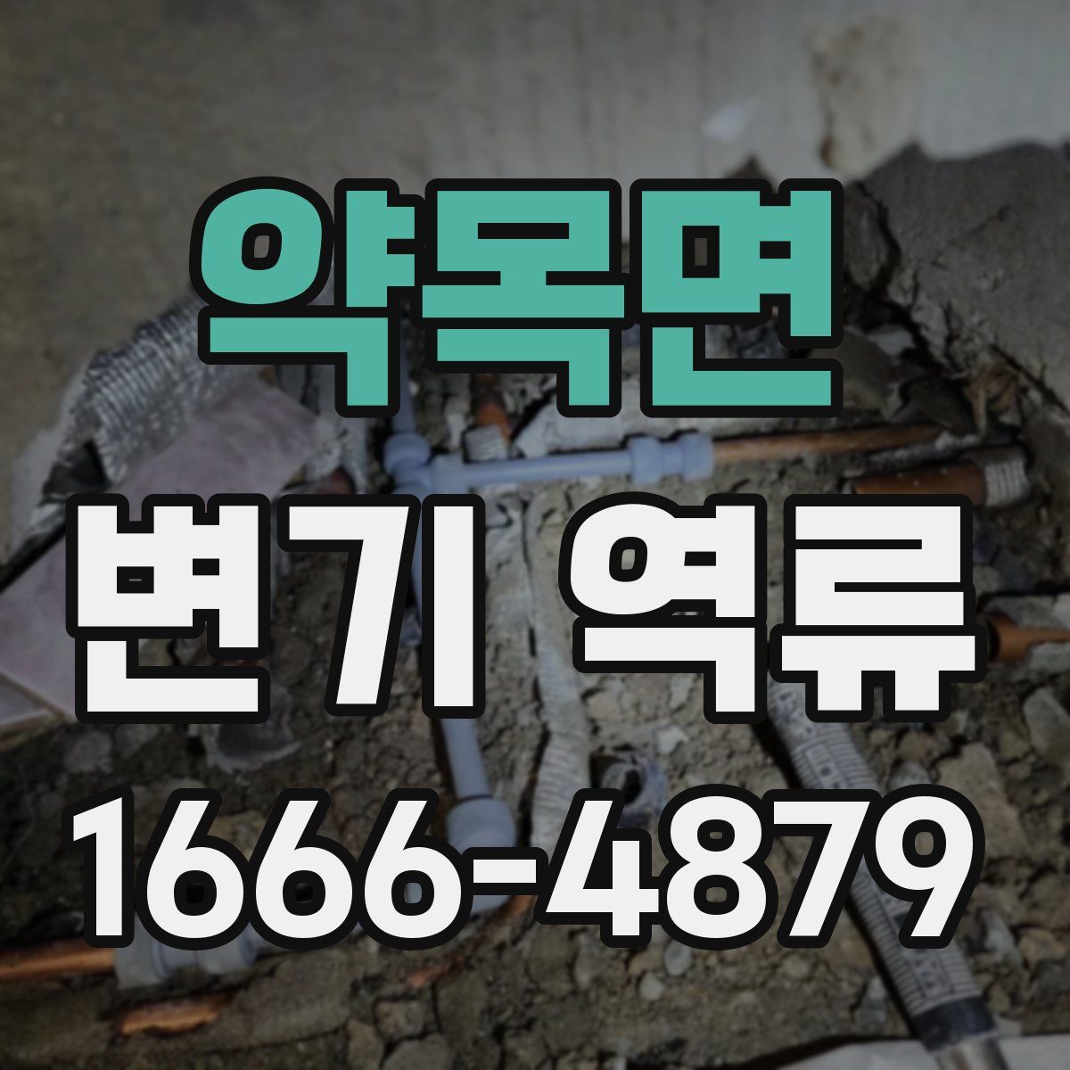약목면 변기 역류