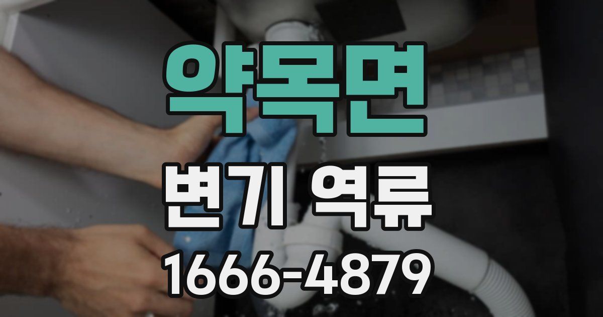약목면 변기 역류