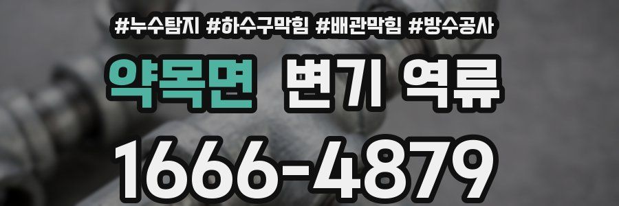 약목면 변기 역류