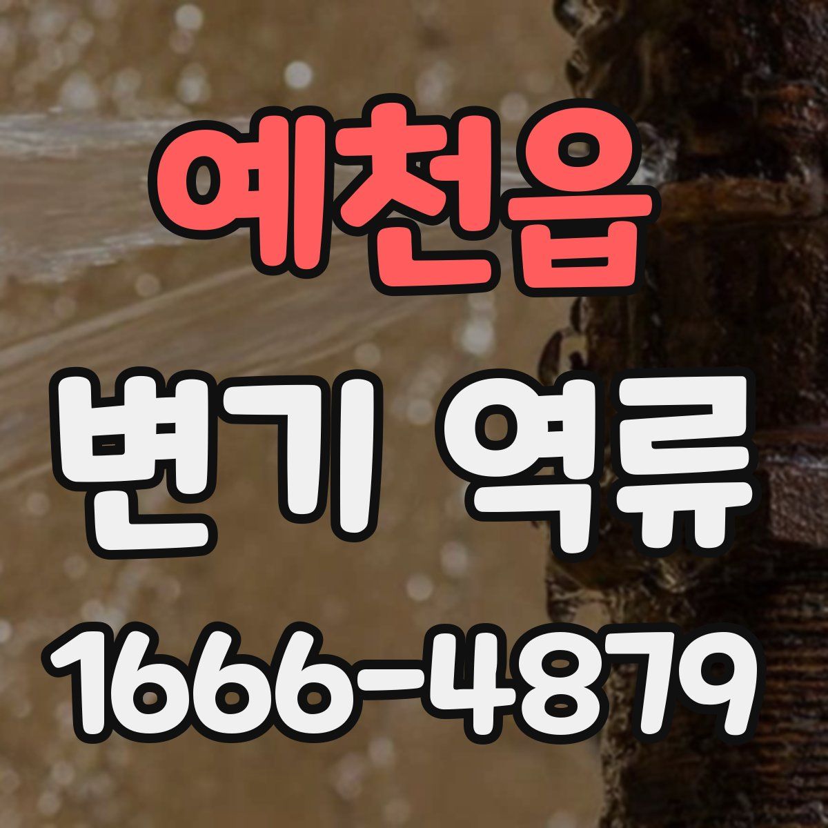 예천읍 변기 역류