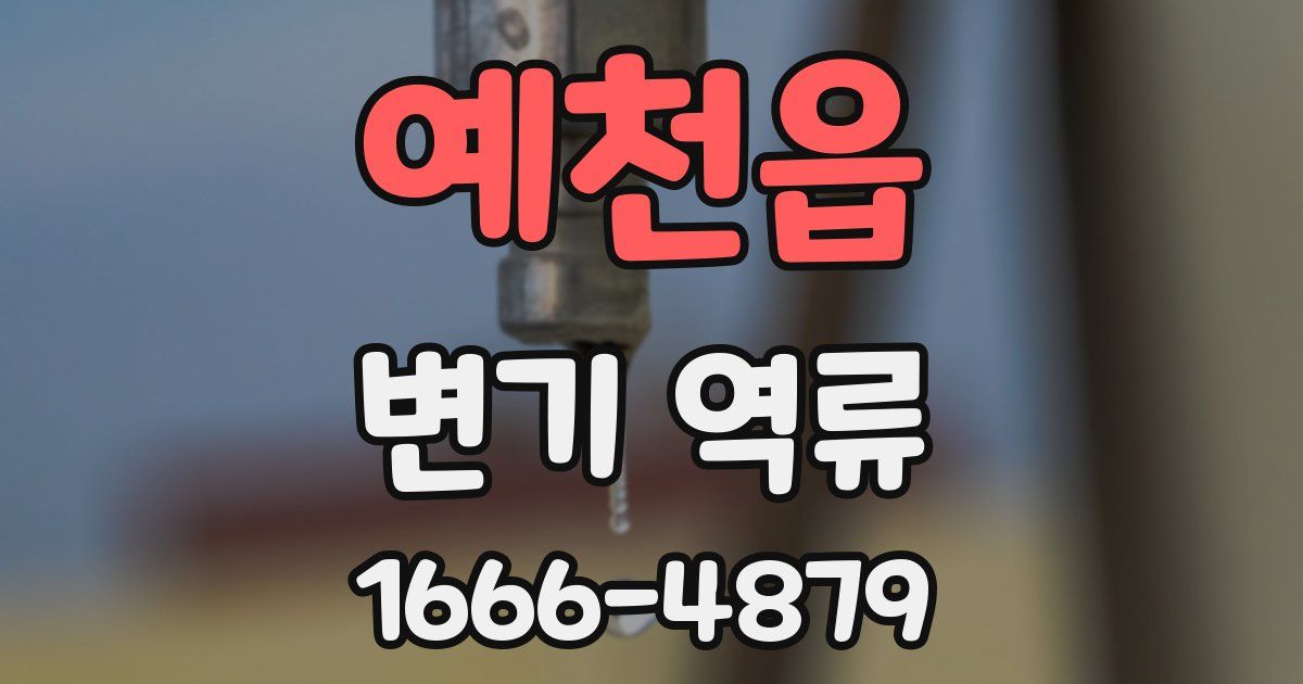 예천읍 변기 역류