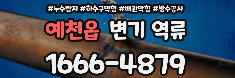 예천읍 변기 역류