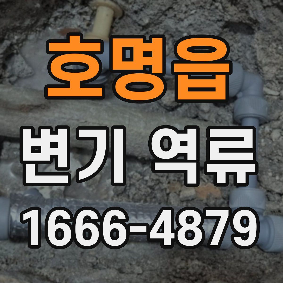 호명읍 변기 역류
