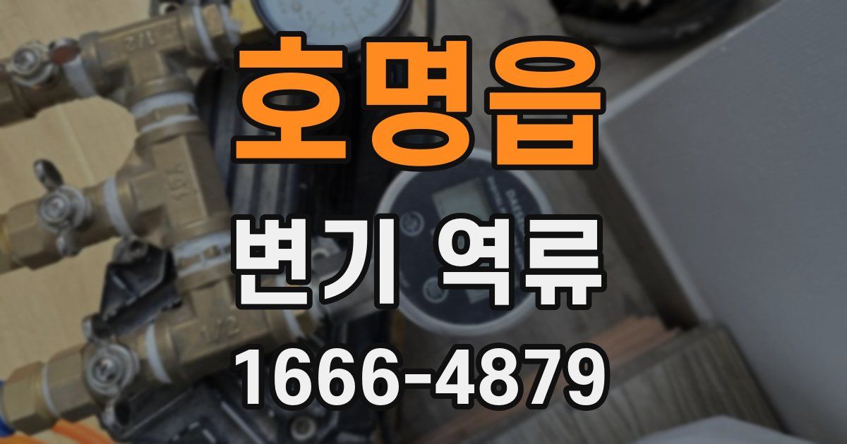 호명읍 변기 역류