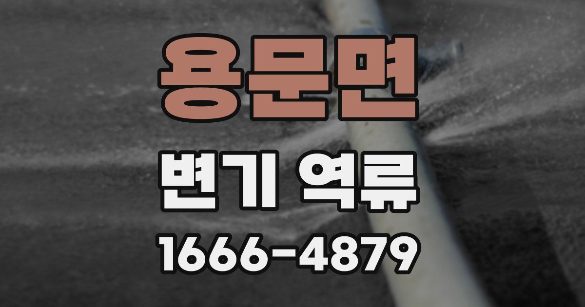 용문면 변기 역류