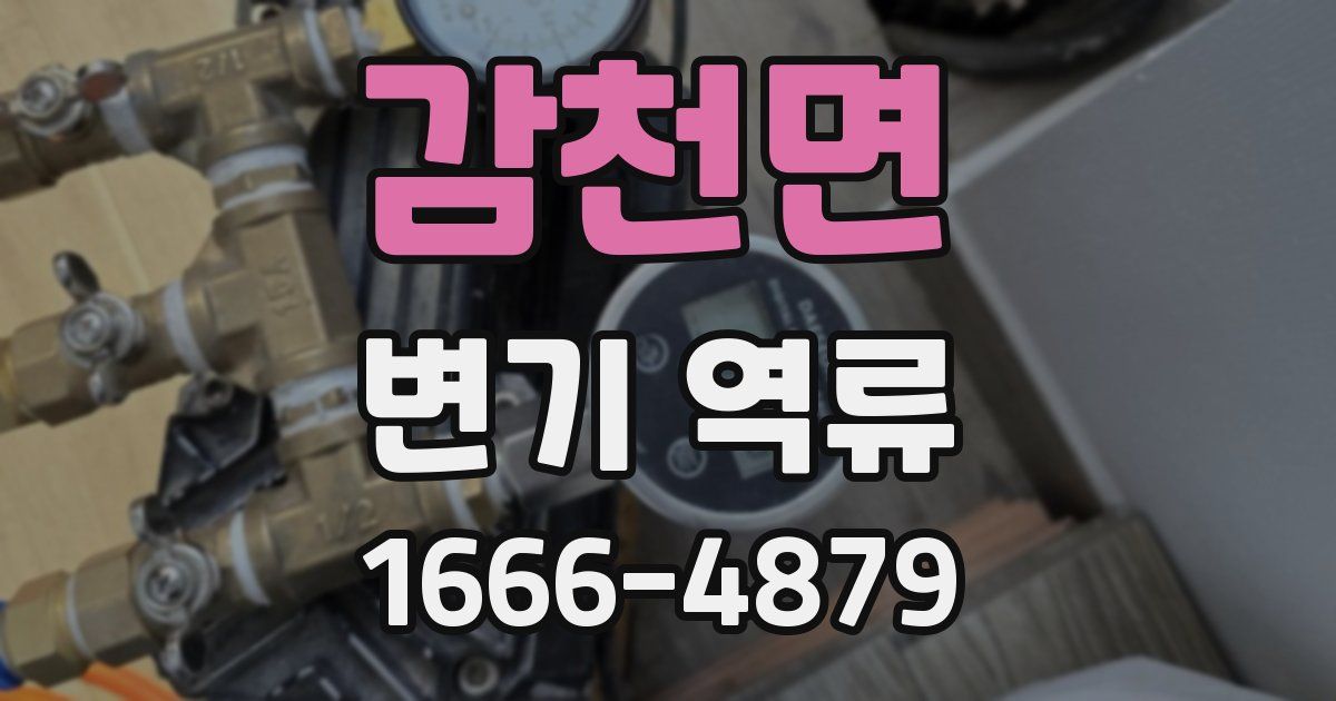 감천면 변기 역류