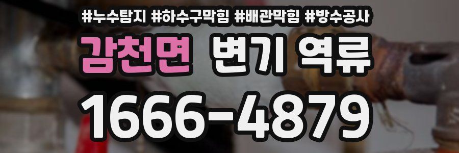 감천면 변기 역류
