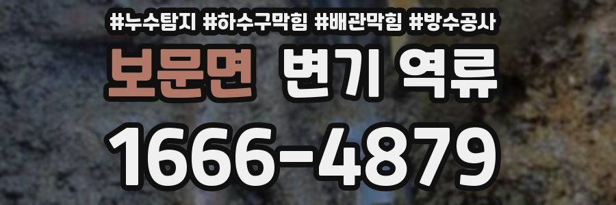 보문면 변기 역류