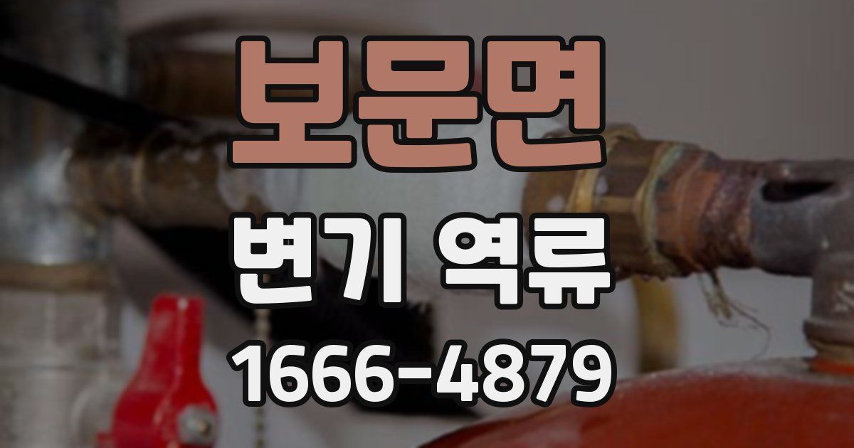 보문면 변기 역류