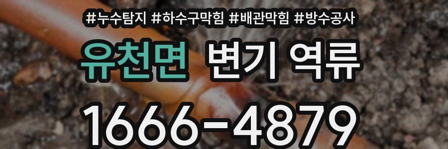 유천면 변기 역류