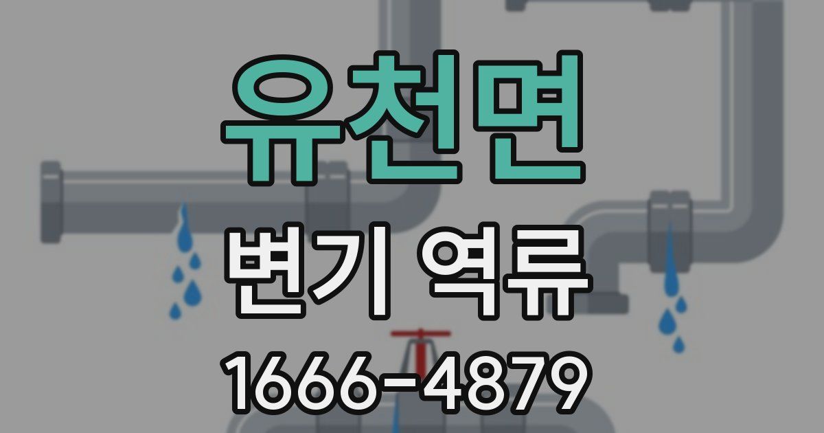 유천면 변기 역류