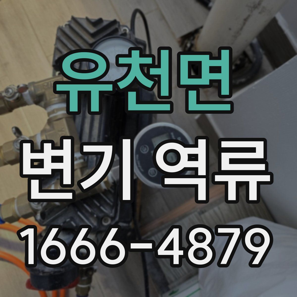 유천면 변기 역류