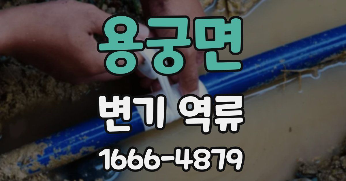 용궁면 변기 역류