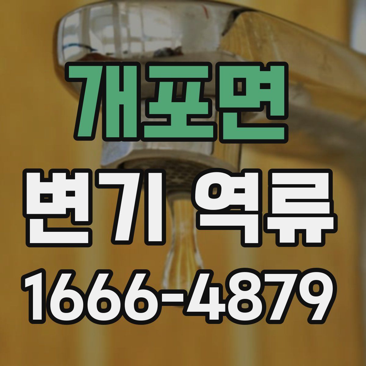개포면 변기 역류