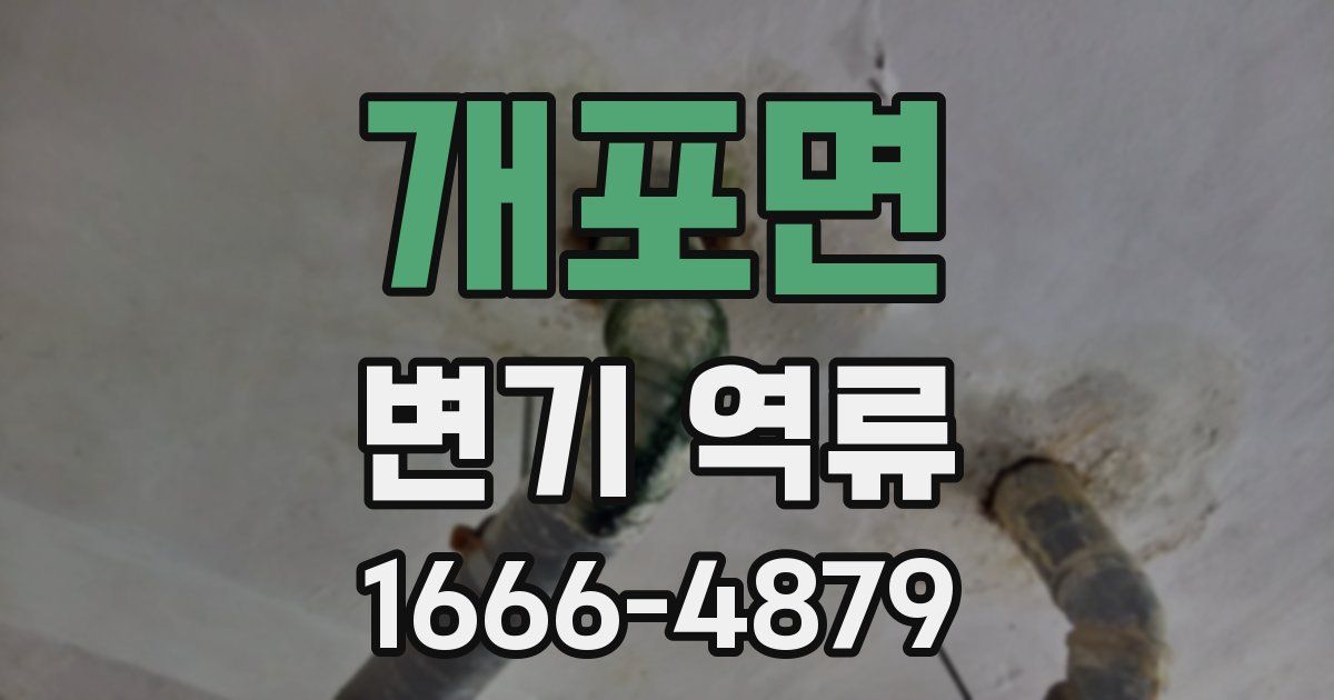 개포면 변기 역류