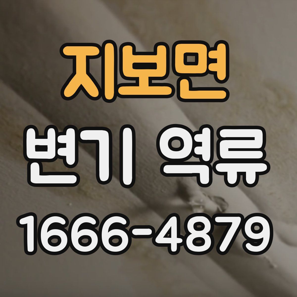 지보면 변기 역류