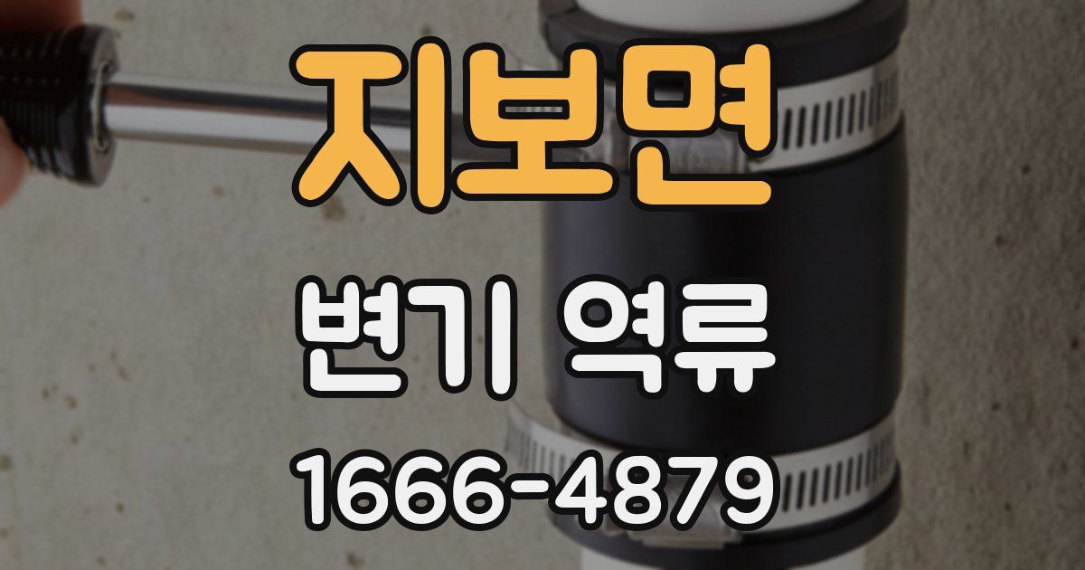 지보면 변기 역류