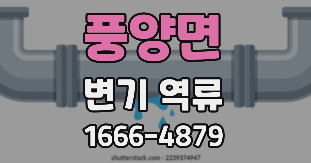 풍양면 변기 역류