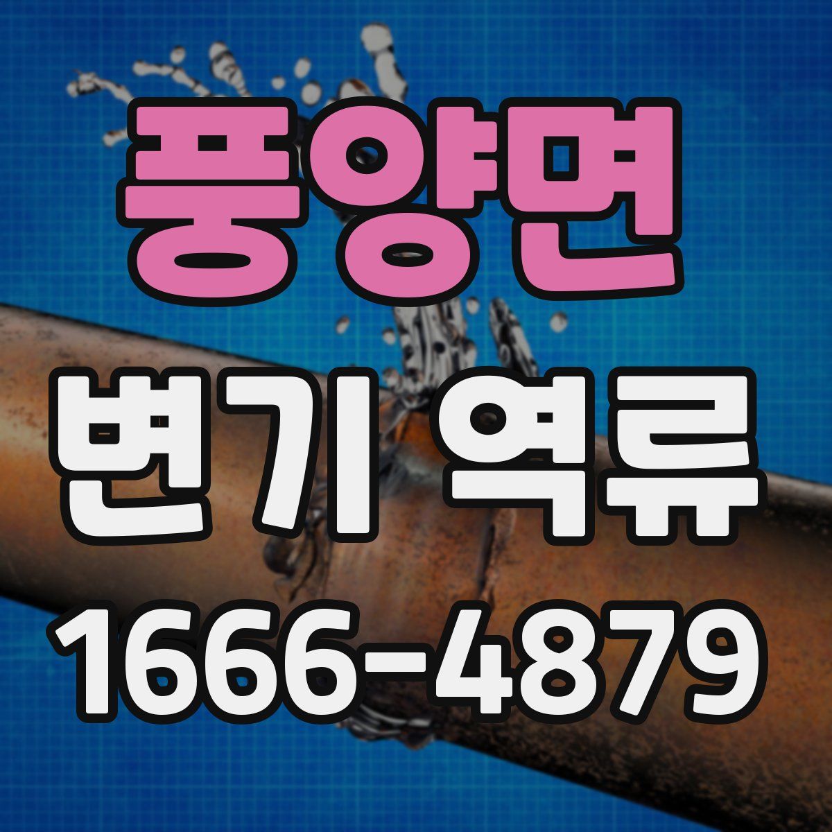 풍양면 변기 역류