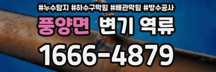 풍양면 변기 역류
