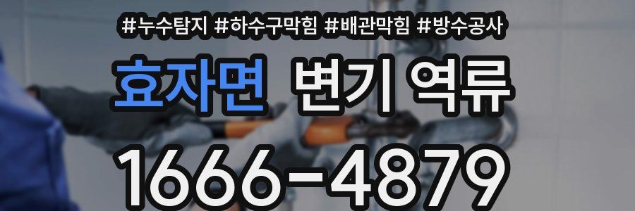 효자면 변기 역류