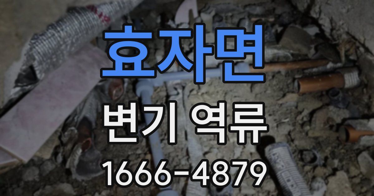 효자면 변기 역류