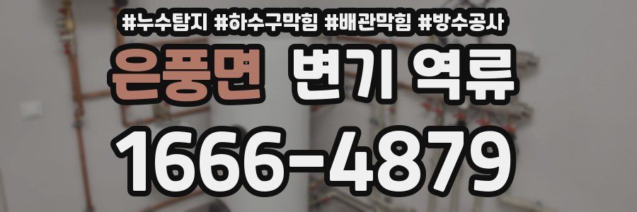 은풍면 변기 역류
