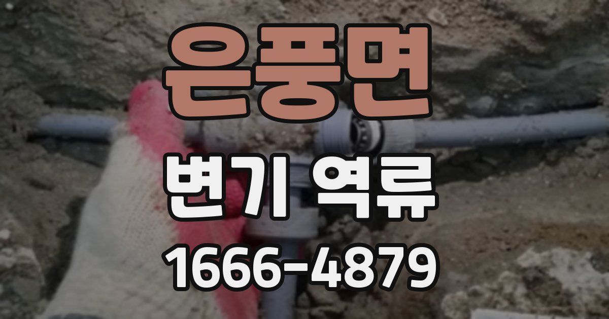 은풍면 변기 역류