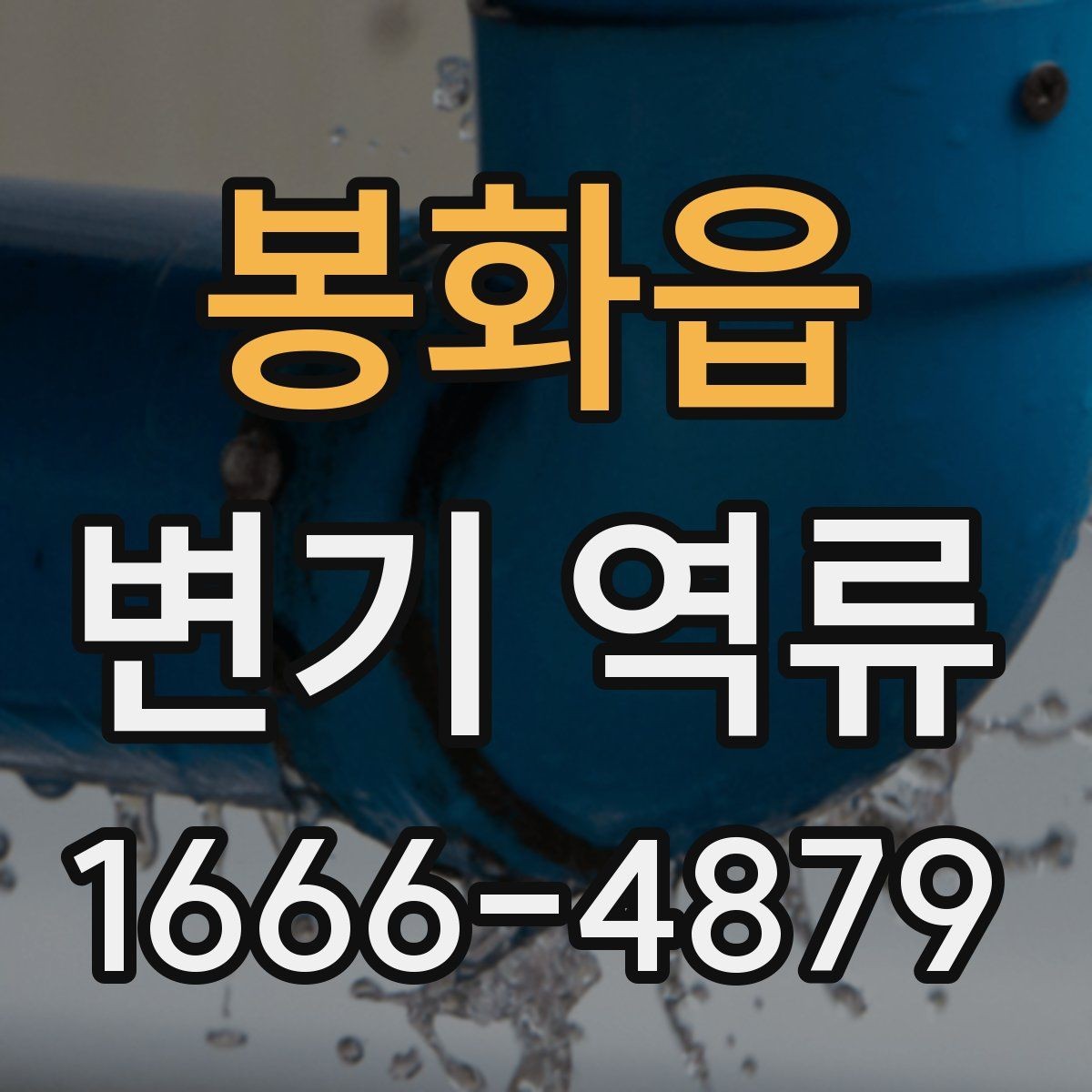 봉화읍 변기 역류 증상이 가벼워 보여도 주의할 이유