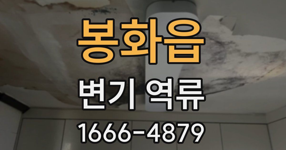 봉화읍 변기 역류