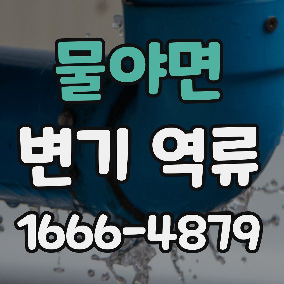 물야면 변기 역류
