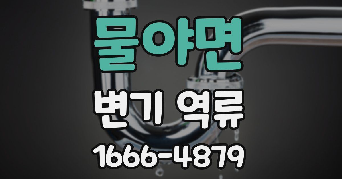 물야면 변기 역류