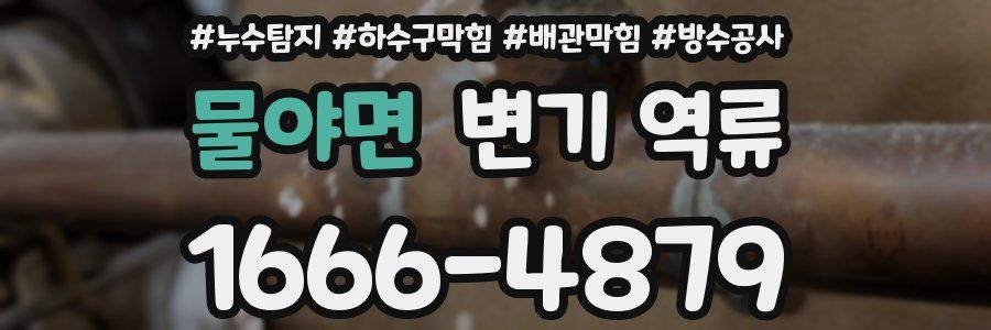물야면 변기 역류