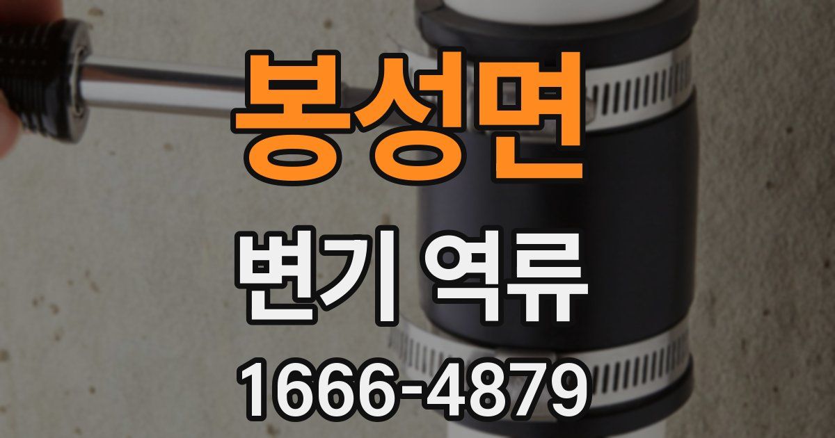 봉성면 변기 역류