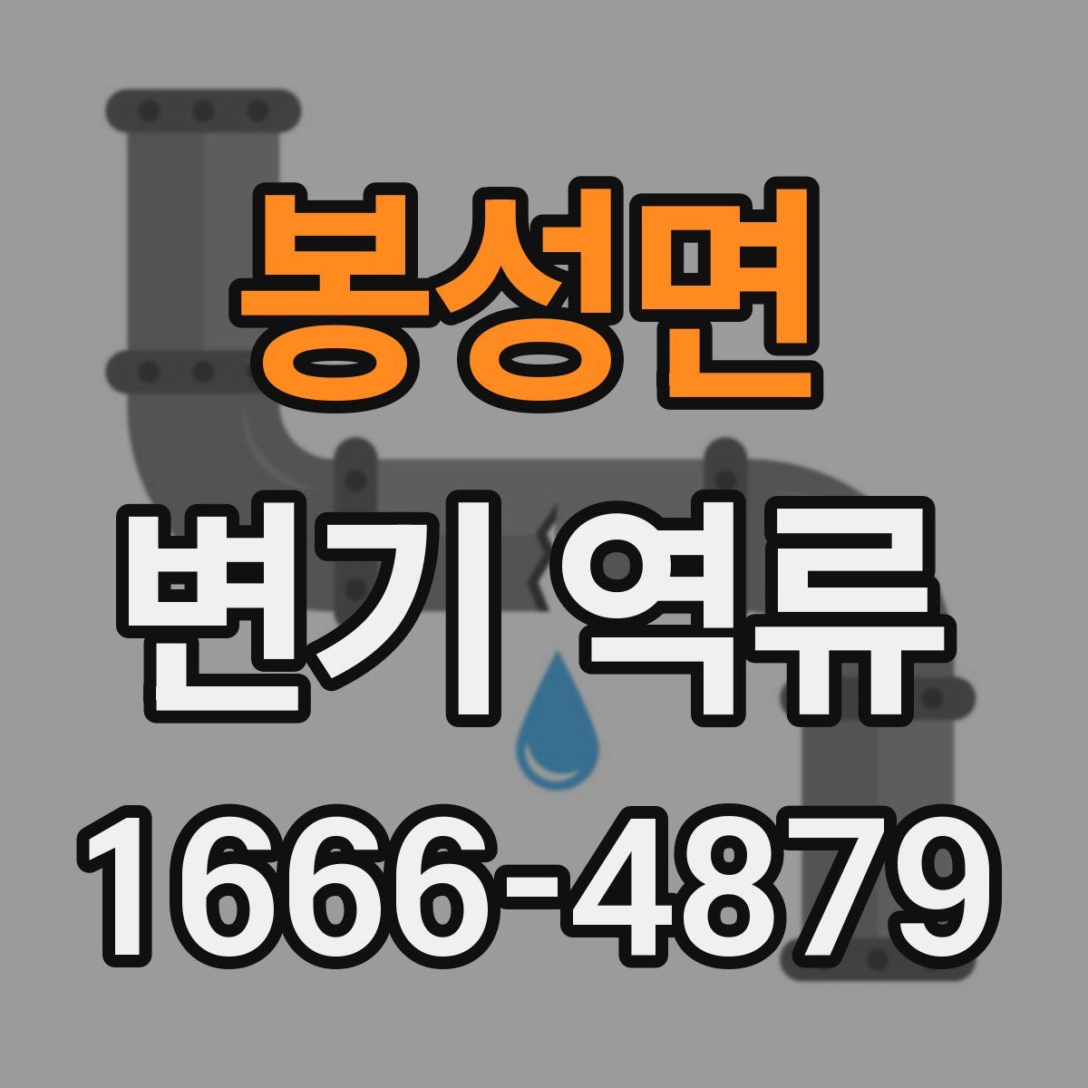 봉성면 변기 역류