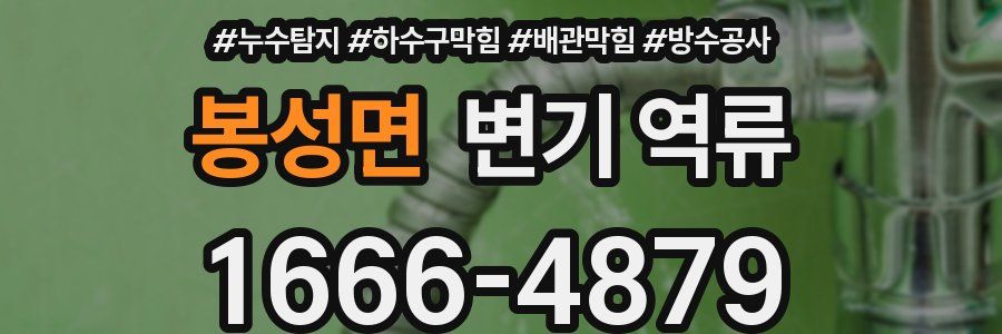봉성면 변기 역류