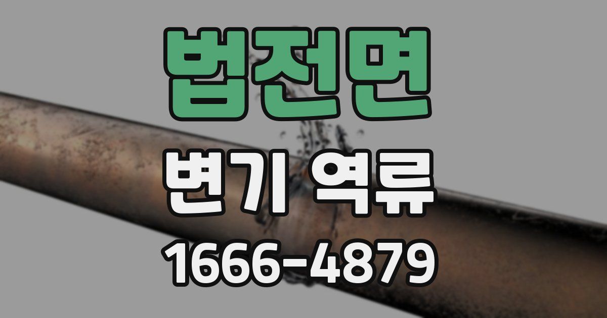 법전면 변기 역류