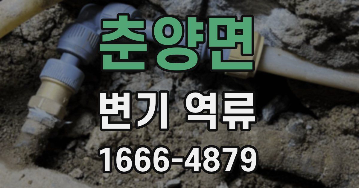 춘양면 변기 역류
