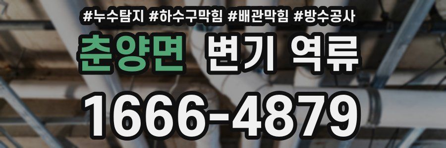 춘양면 변기 역류