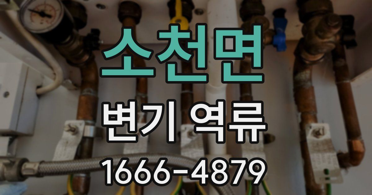소천면 변기 역류