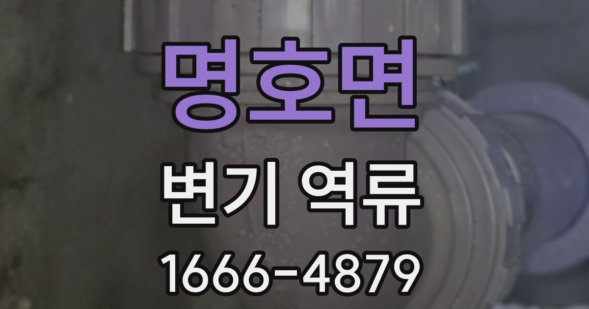 명호면 변기 역류