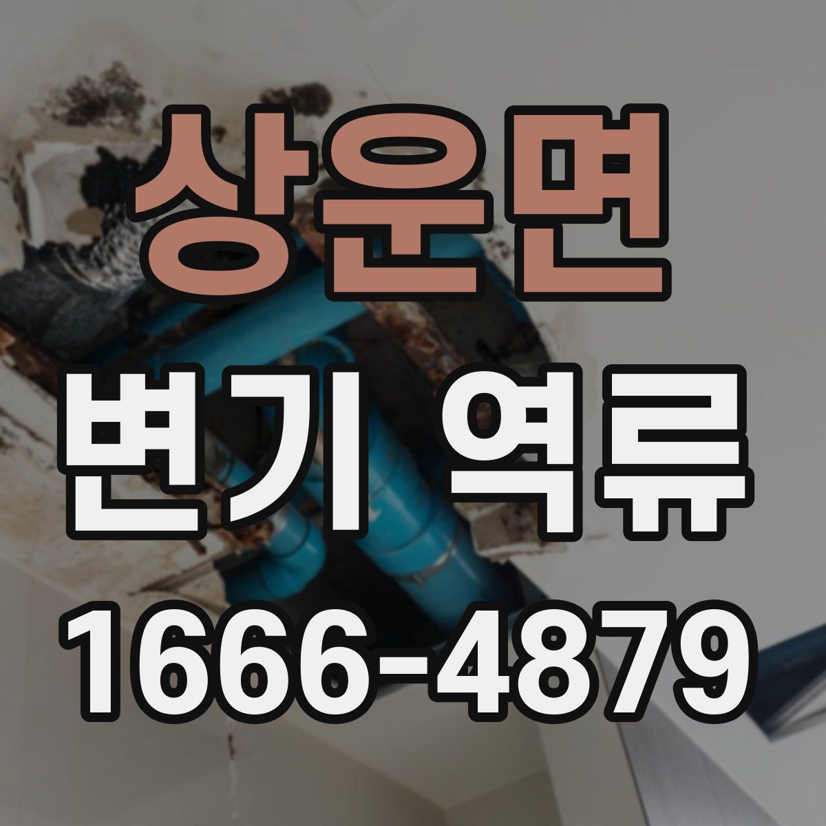 상운면 변기 역류