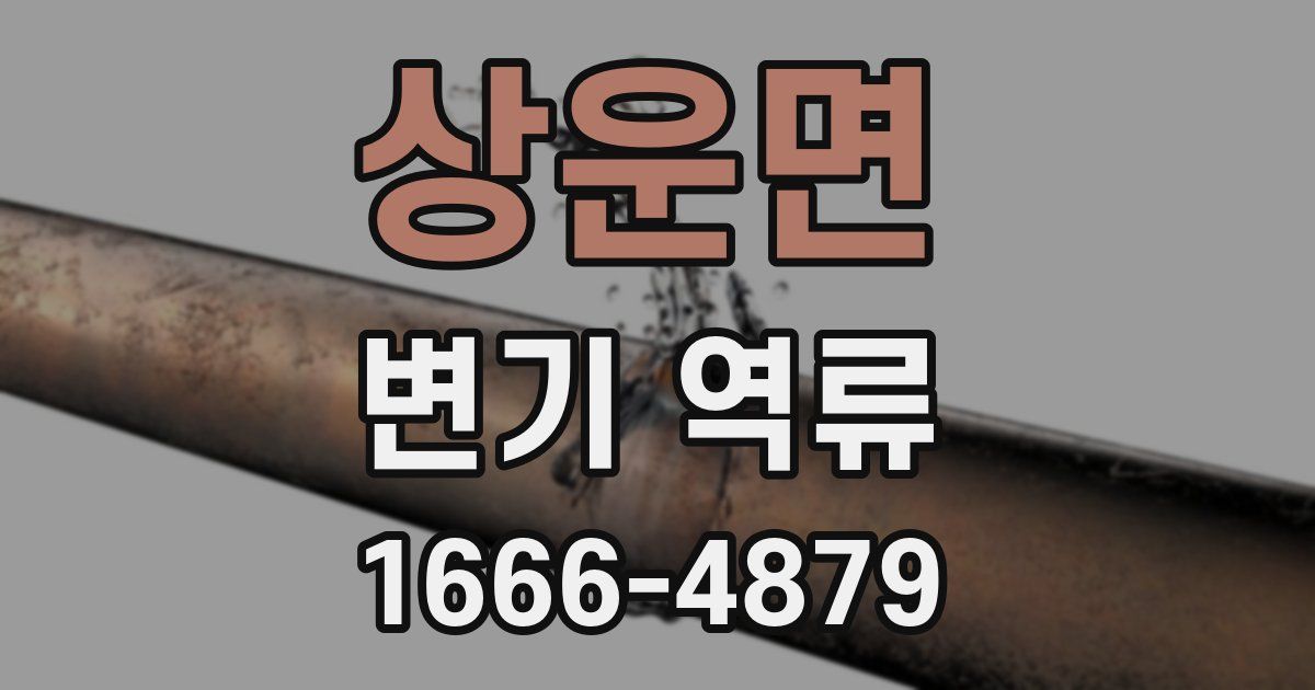 상운면 변기 역류