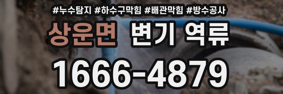 상운면 변기 역류