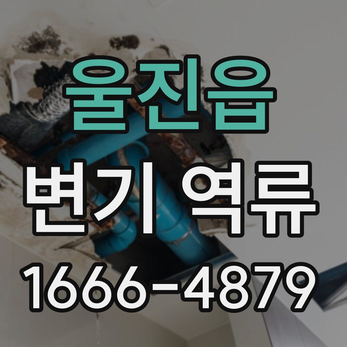 울진읍 변기 역류