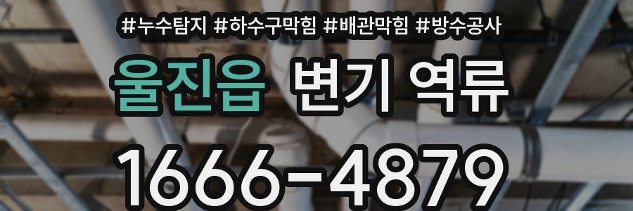 울진읍 변기 역류