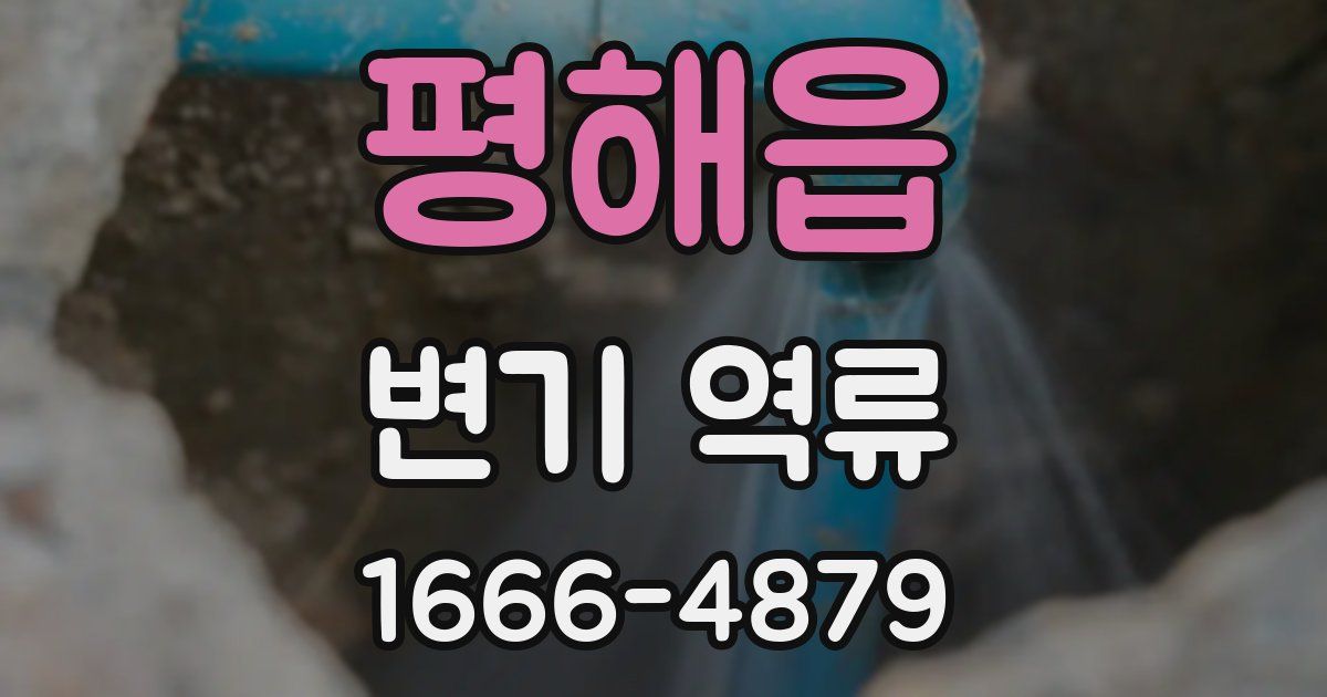 평해읍 변기 역류