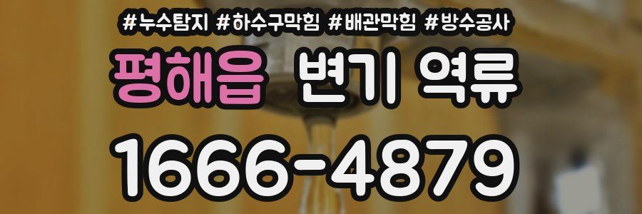 평해읍 변기 역류