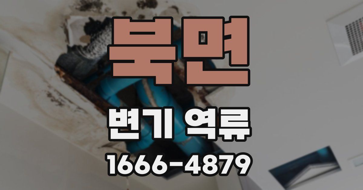 북면 변기 역류
