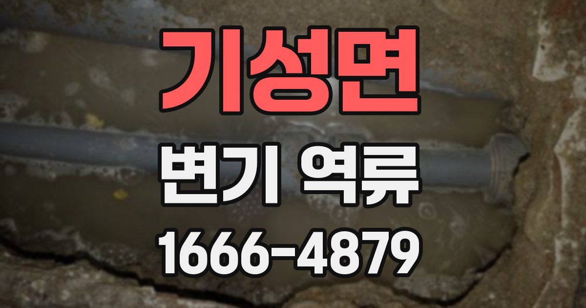 기성면 변기 역류